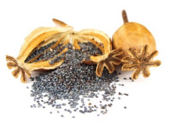 Picture of Seeds Poppy 1kg